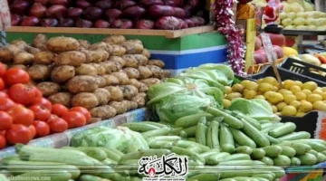 أسعار الخضروات والفاكهة في مصر الخميس تتصدر السوق